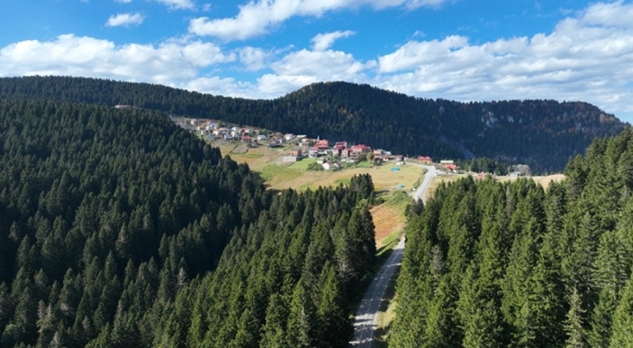 Giresun'dan Gürcistan'a gitmek üzere yola çıkan 4 genç kayboldu!