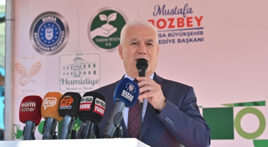 Bursa'da zeytin fidanları toprakla buluştu! "Bursa'mızda yeşilimizi koruyacağız"