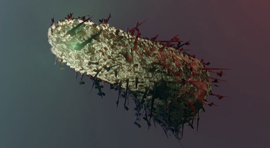 Kuduza yakalanan 9 yaşındaki çocuk, yaşamını yitirdi