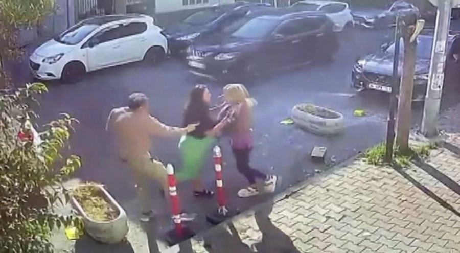 Kedisinin tıraşını beğenmedi, saldırdı: 'Seni hamile hamile dövdüm!'