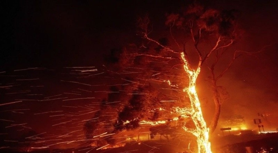 ABD'deki orman yangını 3 gündür sürüyor!