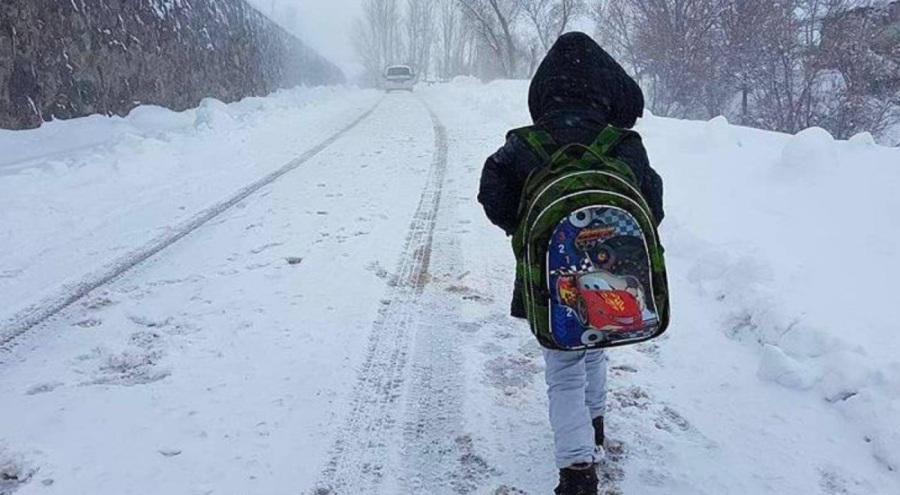 Van'da kar nedeniyle eğitime ara verildi
