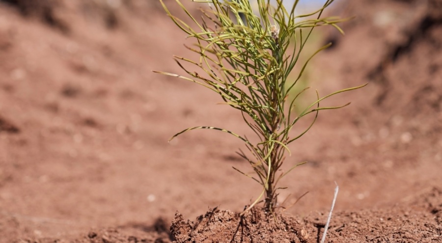 Uludağ Elektrik doğaya katkı sağlıyor