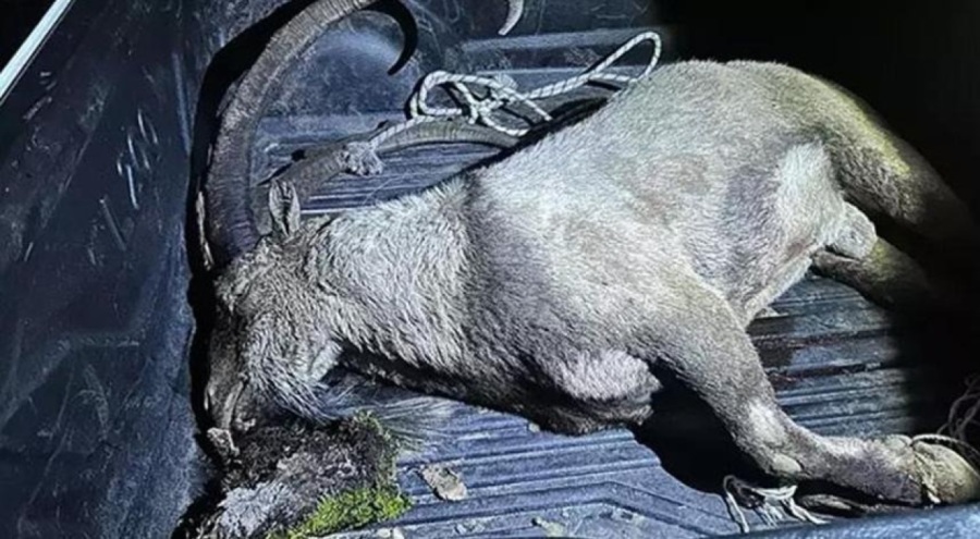 Aralarında milletvekilinin de bulunduğu 4 kişiye yasak av cezası!