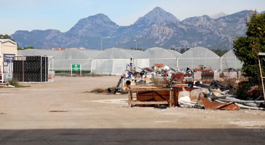 Hollywood'un rakibi Çandırwood, tarım alanı oldu