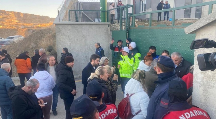 Mamak'ta hayvan katliamı iddiası: İnceleme başlatıldı