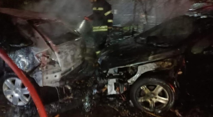 Sanayi sitesindeki palmiye ağacına yıldırım düştü! 2 araç küle döndü