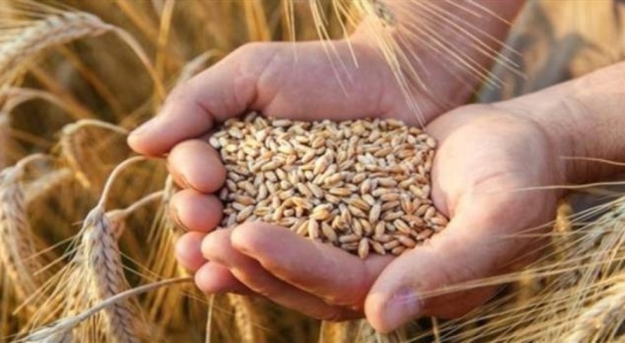 Rusya Suriye'ye buğday tedarikini durdurdu