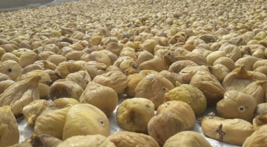 'Ciddi' koduyla Türkiye'ye geri gönderdiler