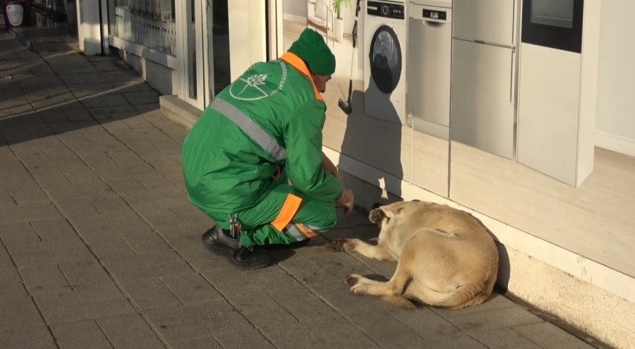 Bursa'da belediye işçisinin sokak köpeğiyle oynadığı görüntüler içleri ısıttı