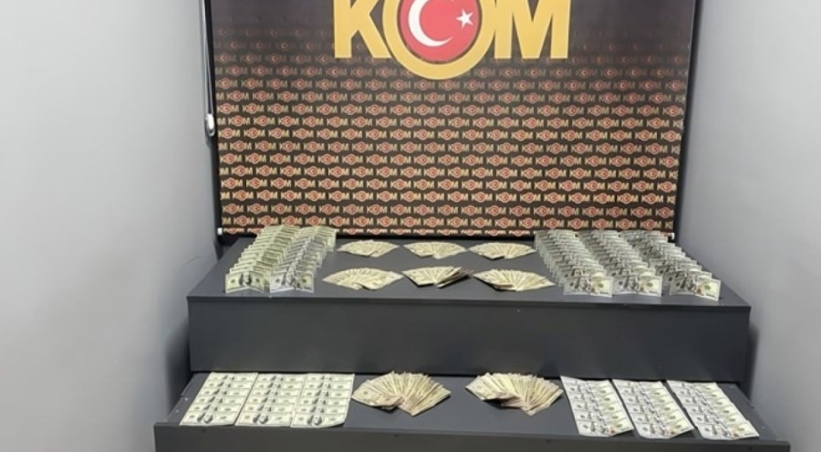 Doğubayazıt'ta 18 bin 700 sahte dolar yakalandı