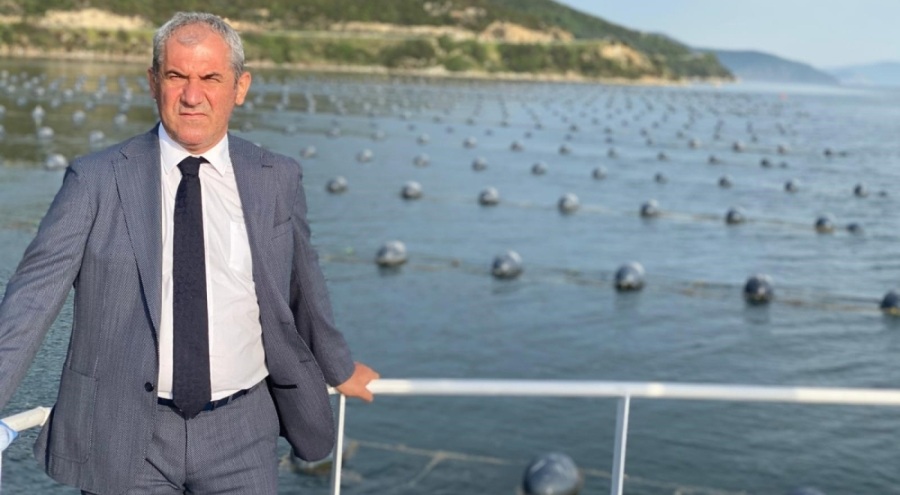 Çiftlik midyesi üretimi 4 yılda ikiye katladı