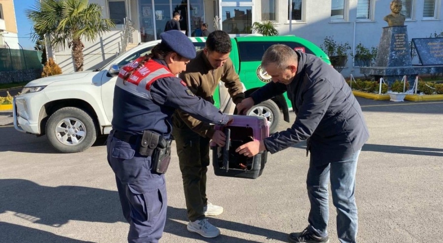 Kaçak avcılık yapan şahsa 48 bin 250 TL ceza kesildi