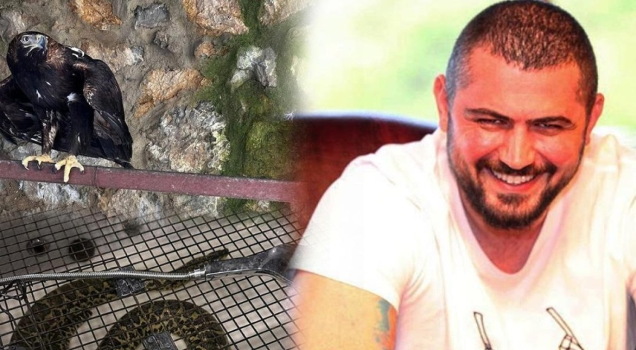 'Çerkes Cengiz'in villasına operasyon! Çok sayıda vahşi hayvan ele geçirildi