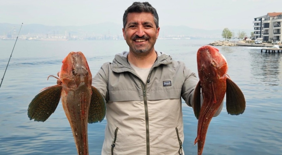 Bursalı amatör balıkçı  oltayla toplam 6 buçuk kiloluk 2 balık yakaladı
