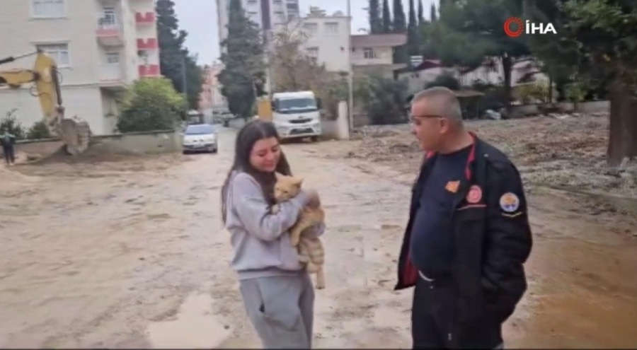 Mahsur kalan kedi kurtarılınca, sevinçten gözyaşı döktü