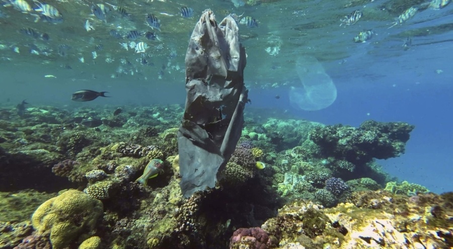 Çevreyi kirletenlere 2025'te verilecek cezalar belli oldu