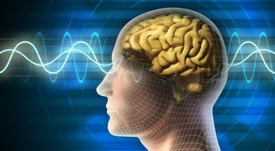 IQ'su en yüksek burçlar belli oldu