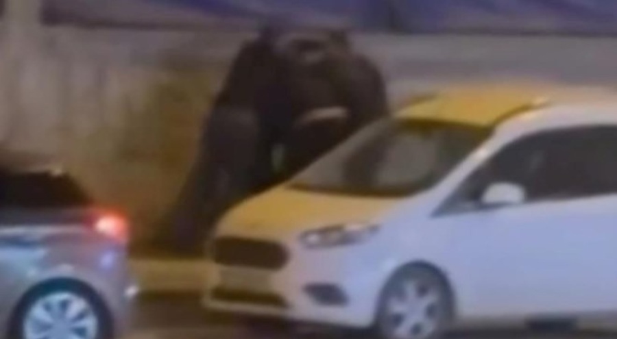 Sokak ortasında öldüresiye dayak