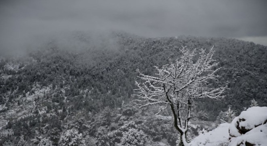 Muğla'da sağanak, yüksek kesimlerinde kar etkili oluyor