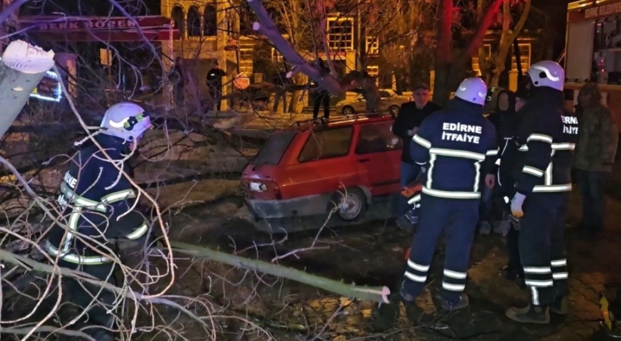 Çürüyen ağaç otomobilin üzerine devrildi!