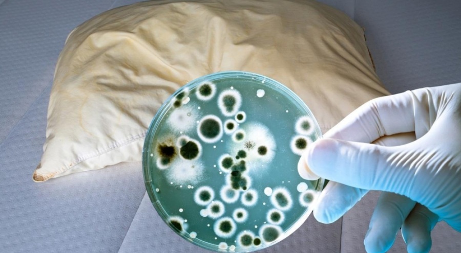 Genetik mühendisinin yastık ve tuvalet üstünden yaptığı test sosyal medyada şaşkınlık yarattı!