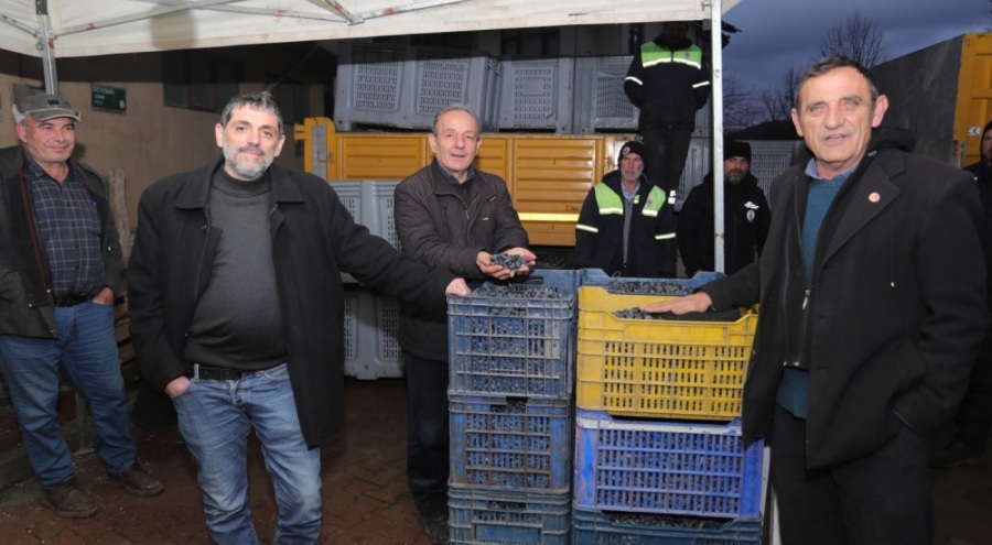 Gemlik Belediyesi'nden çiftçiye destek