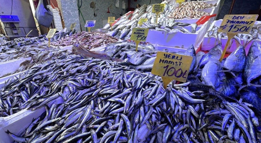 Balıkçı esnaf yılbaşı indirimi: Hamsi 100 lira