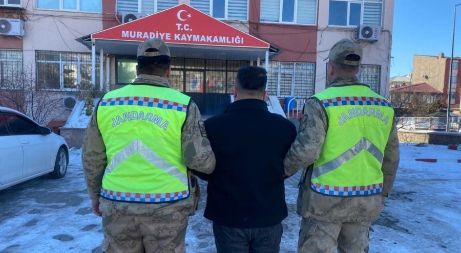 Van'da 10 düzensiz göçmen yakalandı