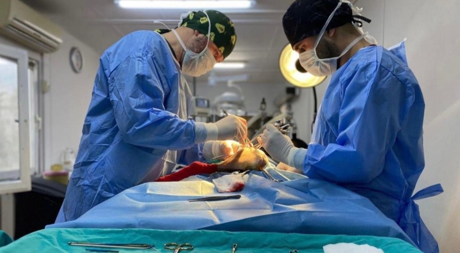 Osmangazi'de sokak hayvanlarını kısırlaştırma çalışmaları başarıyla sürüyor