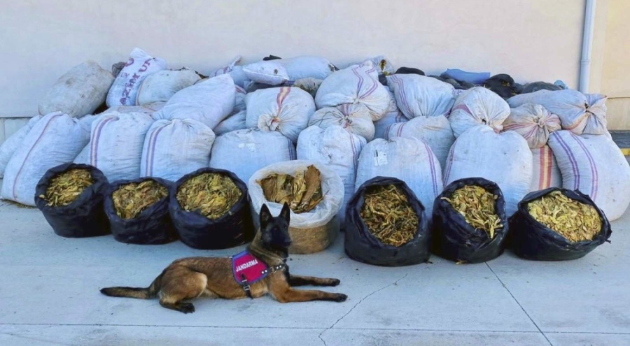 Batman'da 3 ton 640 kilogram kaçak tütün ele geçirildi