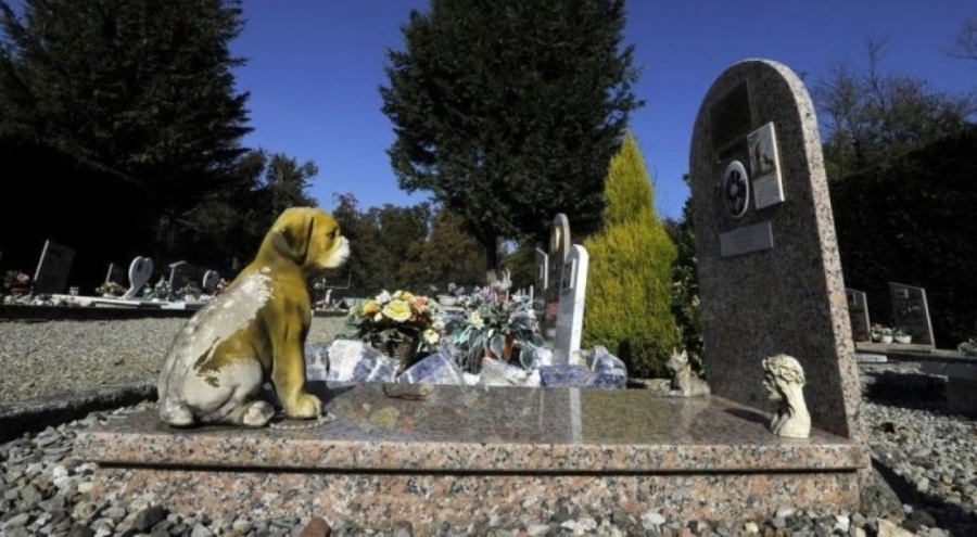 Evcil hayvanlar sahiplerinin mezarına gömülebilecek