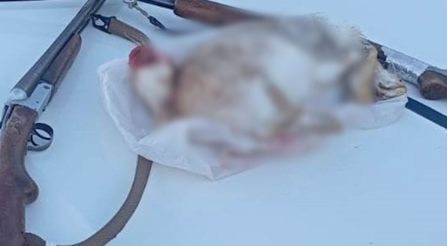 Yasadışı avlanan 2 şahsa 17 bin 294 lira idari para cezası uygulanacak