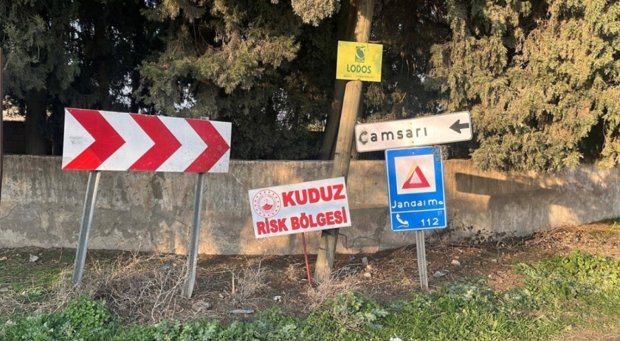 O ilde bir mahalle kuduz nedeniyle karantinaya alındı!