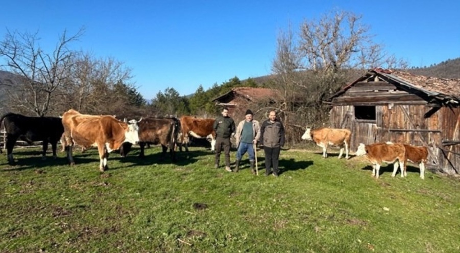 Kaybolan hayvanları drone buldu