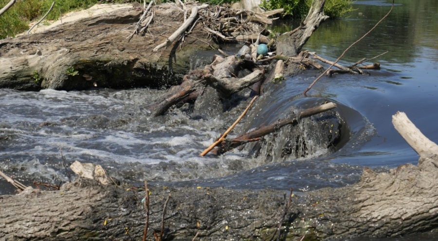 Prof. Dr. Mustafa Sarı: "Nilüfer Çayı Marmara'ya zehir taşıyarak müsilajı tetikliyor"