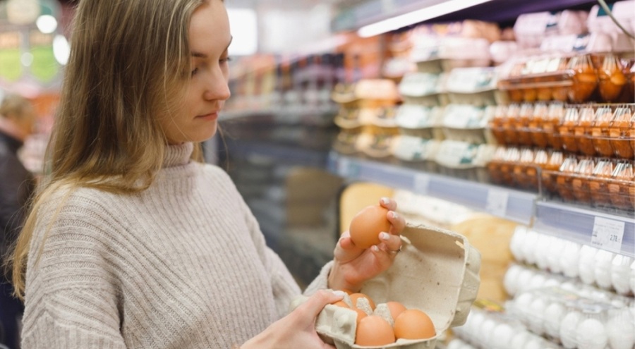 Organik aldatmacası, yumurta fiyatları cep yakıyor!