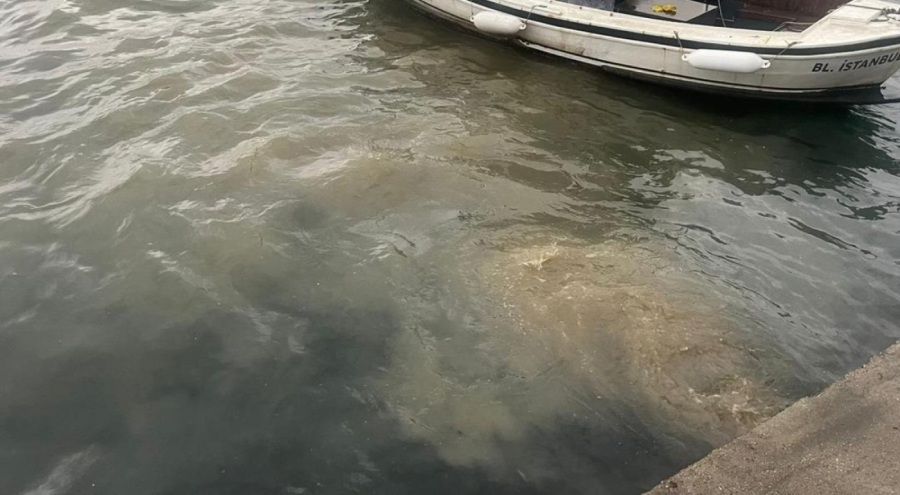 Bakanlık harekete geçti!  "Burası insan dışkılarıyla doluyor"