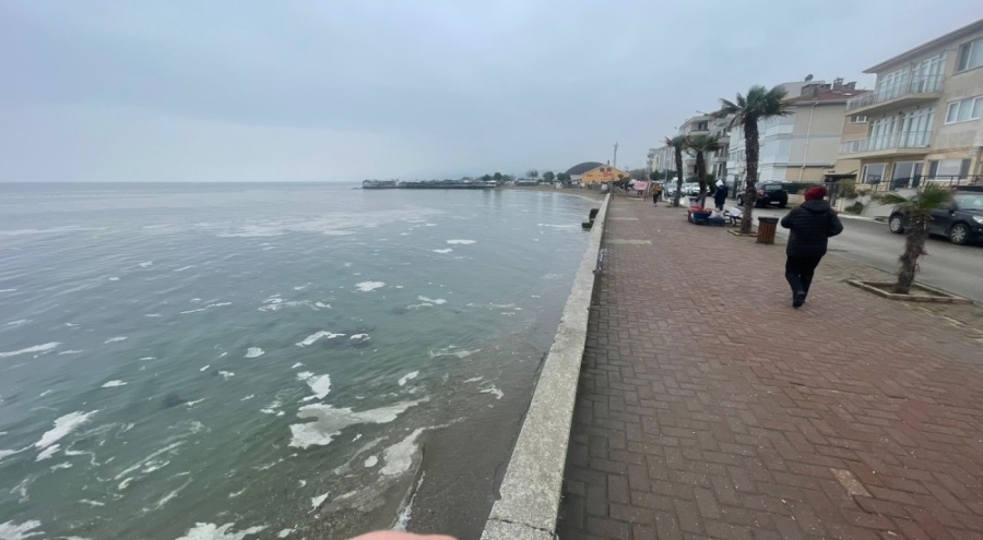 Bursa'da müsilaj! Mudanya'da deniz beyaz tabakayla örtüldü