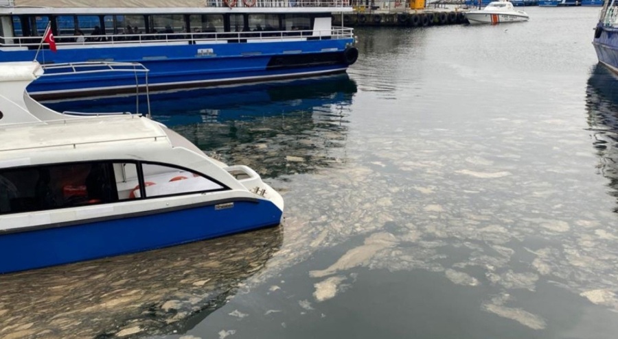 Kadıköy'de müsilaj deniz yüzeyini kapladı