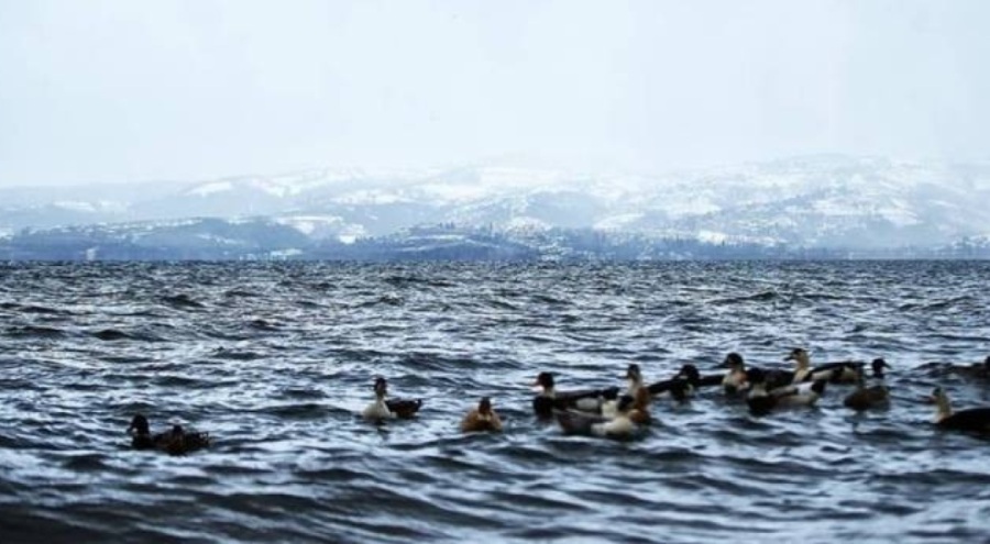 Sapanca Gölü'nün su seviyesi arttı