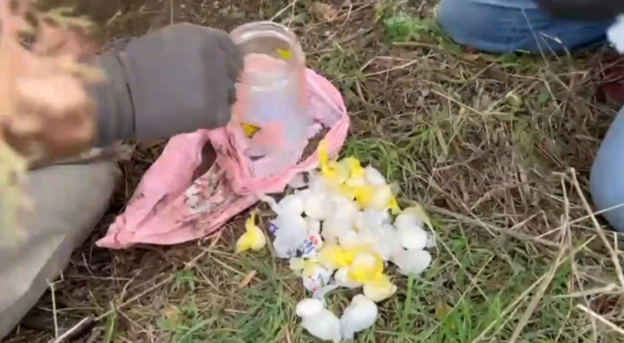 Uyuşturucuyu kavanozla evinin bahçesine gömen kadın tutuklandı