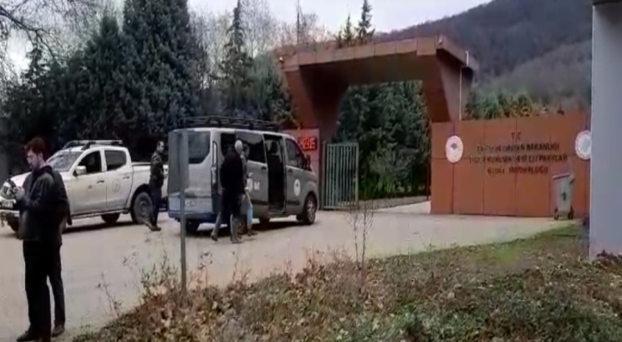 Bursa'da kaybolan bozayı, yemlerle ve tuzaklarla aranıyor