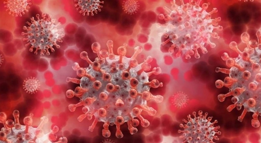 Azerbaycan'da ilk kez M çiçeği vakası tespit edildi