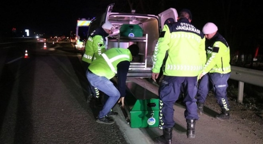 Otoyolda feci ölüm! Bir kişinin parçalanmış cesedi bulundu