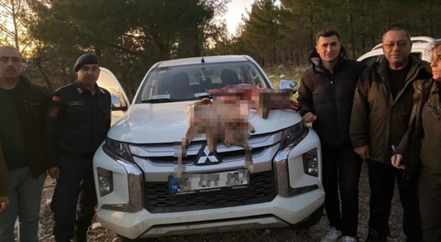 Yaban keçisi avlayanlara binlerce liralık ceza yağdı