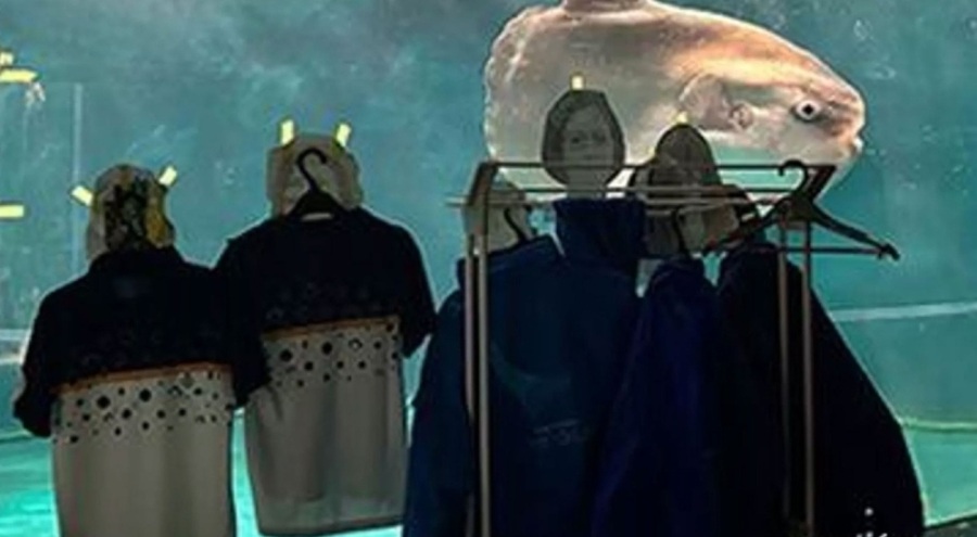 Ziyarete kapanan akvaryumdaki güneş balığı depresyona girdi, ilginç çözüm üretildi