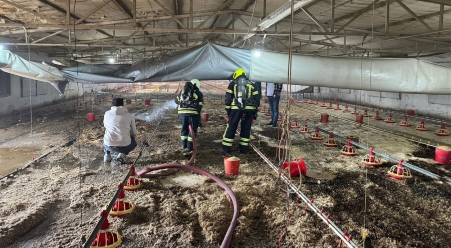 Mersin'de tavuk üretim merkezinde yangın