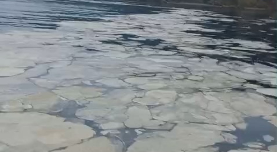 Gemlik Körfezi'ni müsilaj sardı! Balıkçılar denize açılamadı