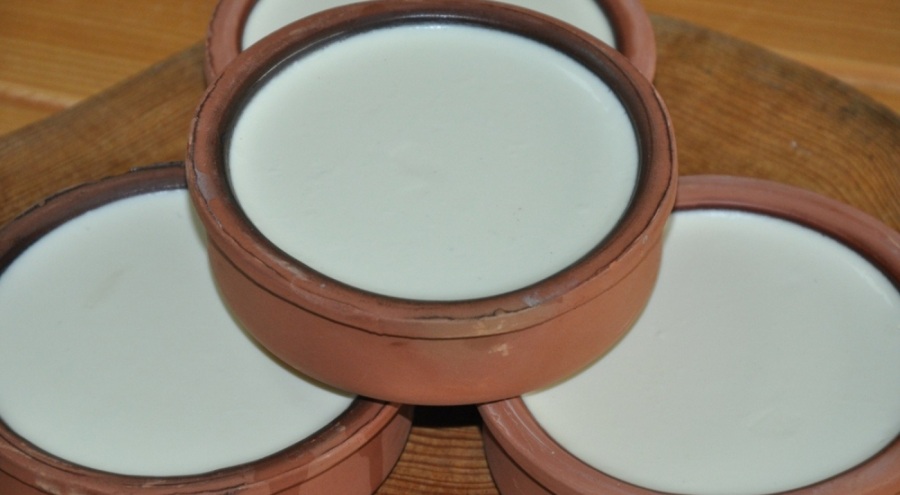 Silifke yoğurdu, Avrupa sofralarına girecek